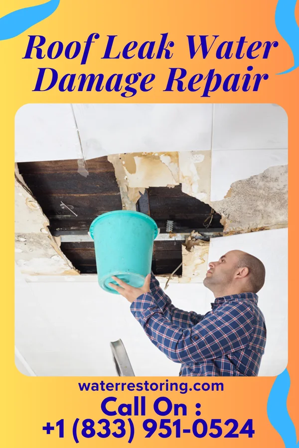 Roof Leak Water Damage Repair in Iago, TX